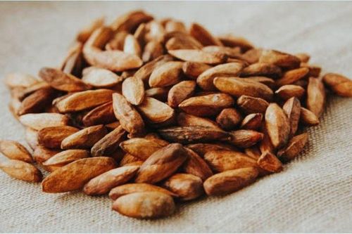 Những lợi ích bất ngờ của hạt bàng với sức khỏe