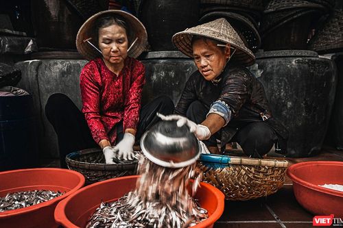 Ngắm quy trình chế biến cá cơm thành nước mắm Nam Ô trứ danh