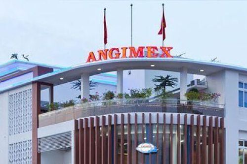 Tiếp tục công cuộc tái cơ cấu, Angimex muốn giải thể công ty con mới thành lập
