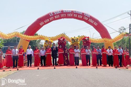 Đồng Nai dự kiến xuất khẩu 500 ngàn tấn chuối tươi trong năm 2023