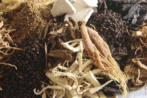 Cảnh báo hậu quả của việc dùng thuốc 'truyền miệng' trong điều trị sỏi thận