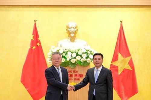 Thúc đẩy đưa dừa tươi Việt Nam vào thị trường Trung Quốc