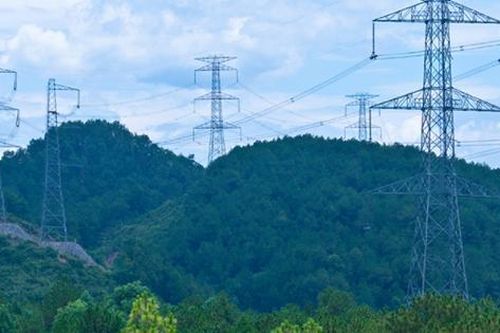 Thí điểm tác động vào rừng tự nhiên để làm các công trình tạm phục vụ thi công đường dây tải điện