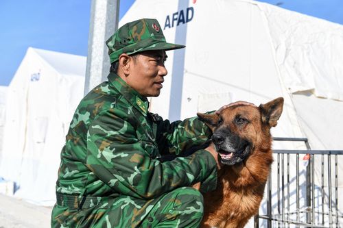 Những 'chiến sĩ... 4 chân' của Việt Nam tại Thổ Nhĩ Kỳ