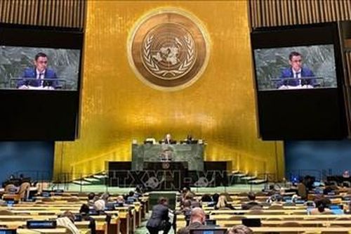 Việt Nam kêu gọi chấm dứt xung đột quân sự, tìm giải pháp hòa bình cho vấn đề Ukraine