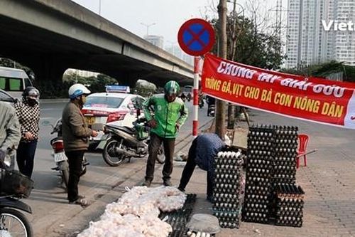 Chưa đến mức 'giải cứu' trứng gà, vịt