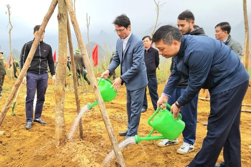 Lai Châu phát động 'Tết trồng cây' Xuân Quý Mão 2023