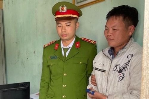 Khởi tố hai bị can phá rừng