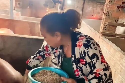 Showbiz 23/2: Cuộc sống dậy từ 4h sáng cho heo ăn, làm vườn của Siu Black