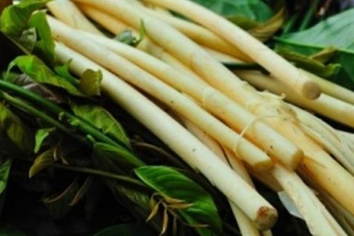 Thưởng thức đặc sản rừng Cát Tiên