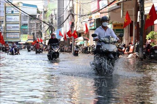 Đề phòng triều cường ven biển Nam Bộ