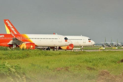 Liên tiếp phát hiện khỉ xâm nhập tại sân bay Nội Bài: Cục Hàng không Việt Nam cảnh báo nguy hiểm