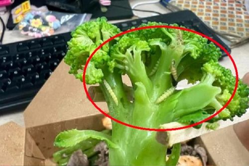 Vụ đặt đồ ăn Healthy nhận về cả đàn sâu trong rau: Phía nhà hàng nói gì?