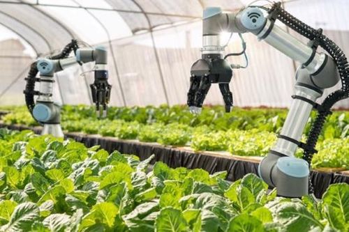 Xây dựng nền nông nghiệp bền vững không thể thiếu vai trò của khoa học công nghệ