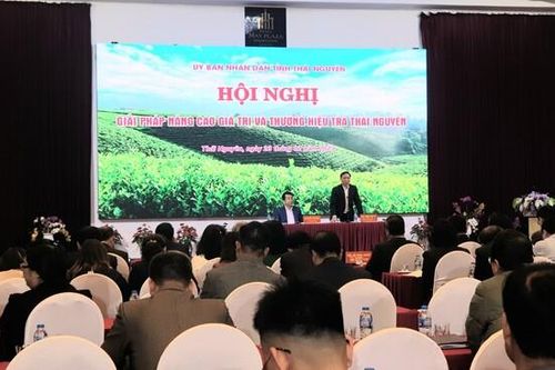 Hội nghị giải pháp nâng giá trị và thương hiệu trà Thái Nguyên