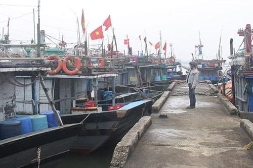 Chủ tàu cá 'đỏ mắt' tìm lao động đi biển