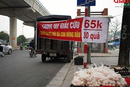 Chuyên gia kinh tế 'chỉ điểm' các nguyên nhân khiến trứng gà 'ứ đọng', phải bán giá siêu rẻ
