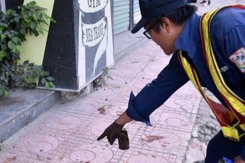 Tiêu hủy con chó cắn du khách nước ngoài ở Nha Trang