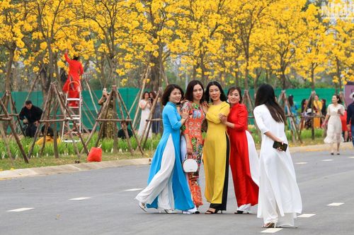 Người dân Hà Nội nô nức chụp ảnh cùng hoa phong linh vàng