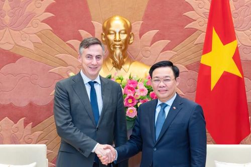 EU là đối tác quan trọng hàng đầu trong chính sách đối ngoại của Việt Nam