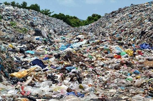 Đã bắt được nghi phạm sát hại người phụ nữ rồi chôn xác ở bãi rác