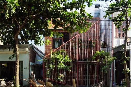 Ngỡ ngàng với nhà phố thiết kế vườn cây trong bếp