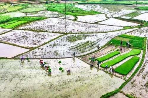 EVN hoàn thành cấp nước cho sản xuất vụ Đông Xuân 2023