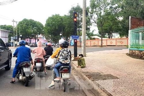 Buôn Ma Thuột kiên quyết xử lý tình trạng 'chăn dắt' trẻ em, người xin ăn