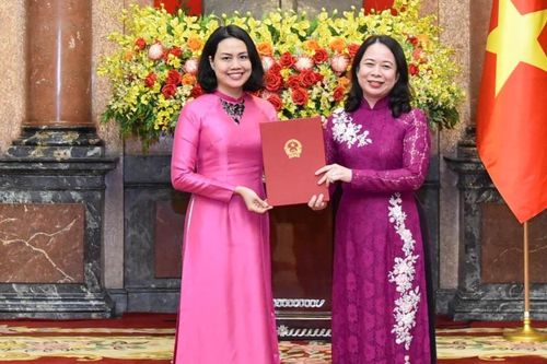 Quyền Chủ tịch nước Võ Thị Ánh Xuân trao quyết định bổ nhiệm 15 Đại sứ