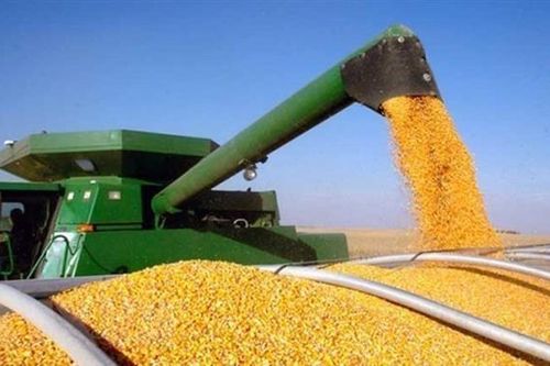Anh gia hạn miễn thuế cho hàng hóa Ukraine đến đầu năm 2024
