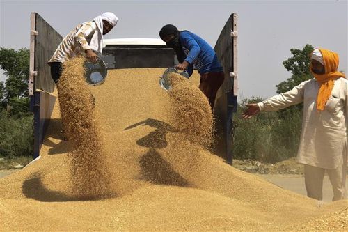 WTO: Thương mại thế giới ổn định và tăng trưởng 'tốt hơn dự báo'