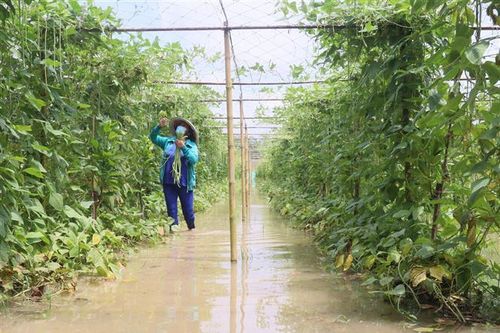 Tỉnh Bến Tre chủ động ứng phó các đợt triều cường dâng cao