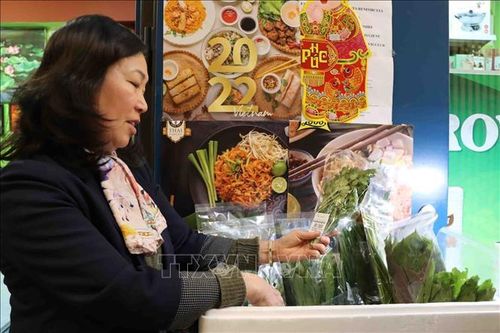 Hàng nông sản Việt Nam ngày càng được ưa chuộng tại thị trường Bỉ