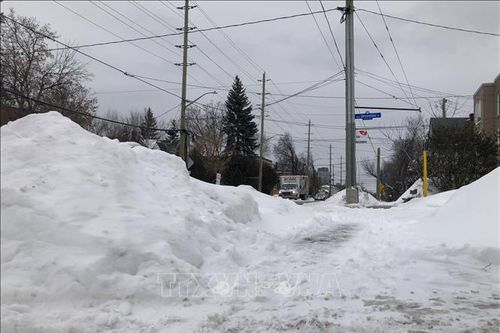 Canada: Tuyết rơi dày cản trở giao thông ở thủ đô Ottawa