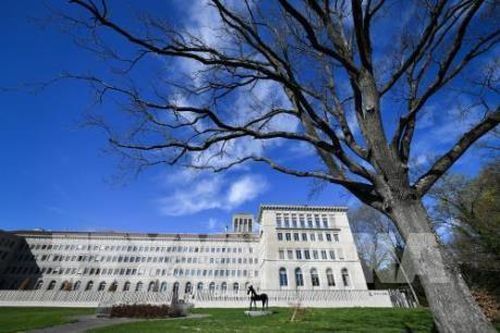 WTO đánh giá khả quan tình hình thương mại thế giới