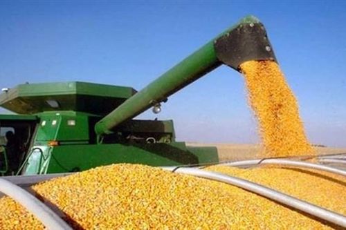 Anh gia hạn miễn thuế cho hàng hóa Ukraine đến đầu năm 2024