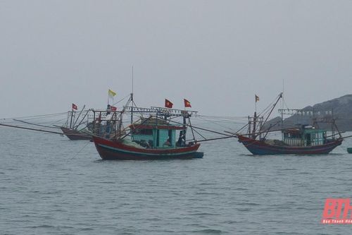 Chủ động ứng phó với gió mạnh trên vùng biển Thanh Hóa