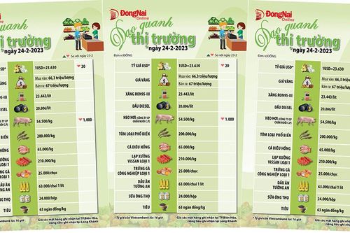 Dạo quanh thị trường ngày 24-2-2023