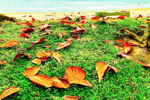 Khúc chuyển mùa…