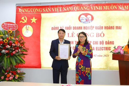 Vina Electric thành lập Chi bộ Đảng
