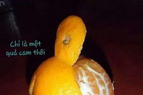Quà biếu là bổ tất!