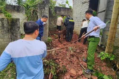 Chó nghiệp vụ phát hiện lượng ma túy 'khủng' giấu trong vườn