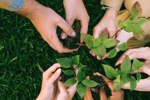 Cuối tuần đẹp trời ghé thăm 'Ngày hội sống Xanh cùng Gen G' ở Hà Nội