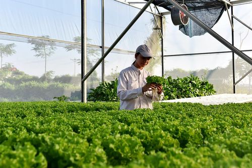 Cơ hội cho các start-up về công nghệ nông nghiệp