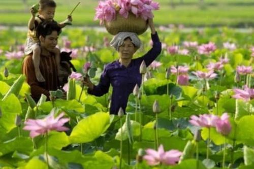 Long An nỗ lực khơi dậy tiềm năng du lịch nông thôn
