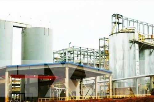 Cấp phép thăm dò quặng bô xít ảnh hưởng hơn 4.000ha rừng, Sở Nông nghiệp Lâm Đồng ý kiến