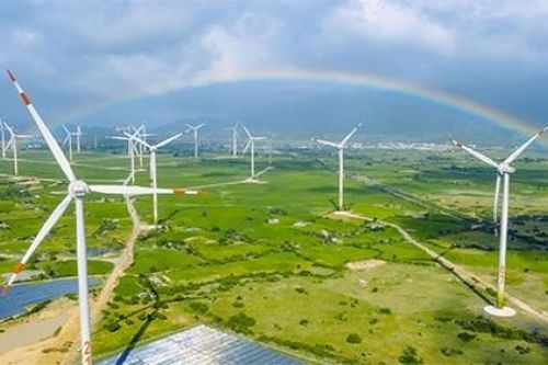 Điện gió ngoài khơi ở Việt Nam cần đột phá để thu hút đầu tư
