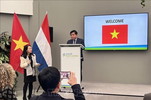 Việt Nam, Hà Lan tăng cường hợp tác về nông nghiệp thông minh