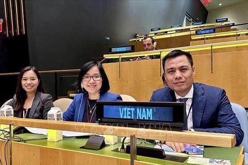 Việt Nam chủ động, tích cực đóng góp vào các nỗ lực thúc đẩy y tế toàn cầu
