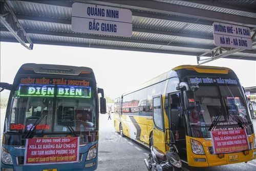 Nhiều đơn vị vận tải xe khách tại Điện Biên tạm dừng hoạt động vì phản ứng việc thu thuế